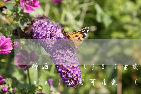 醉酒駕車發(fā)生交通事故，保險(xiǎn)公司可以免責(zé)嗎？